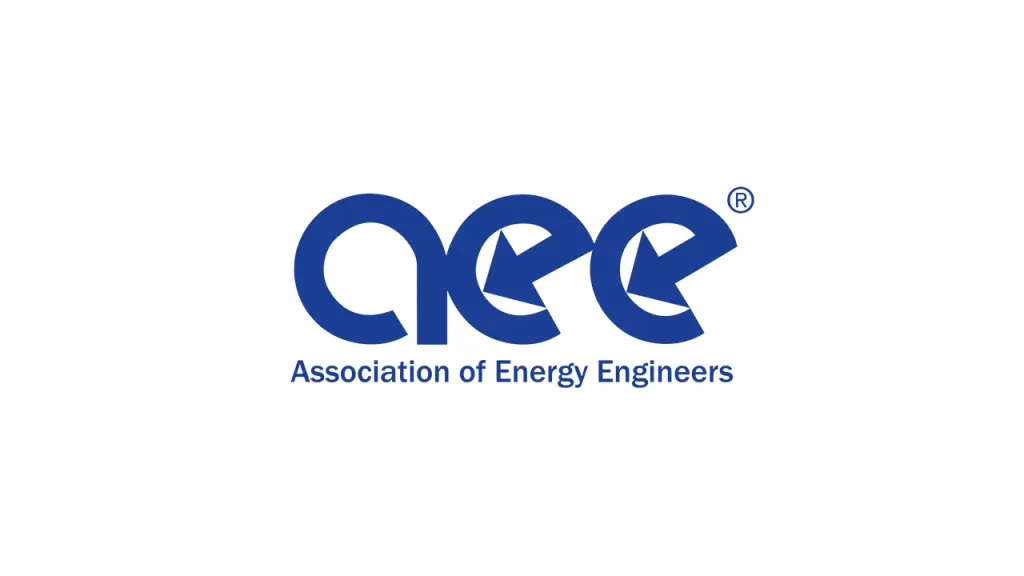 AEE Young Energy Professional